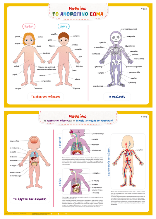 Μαθαίνω το Ανθρώπινο Σώμα (Poster)