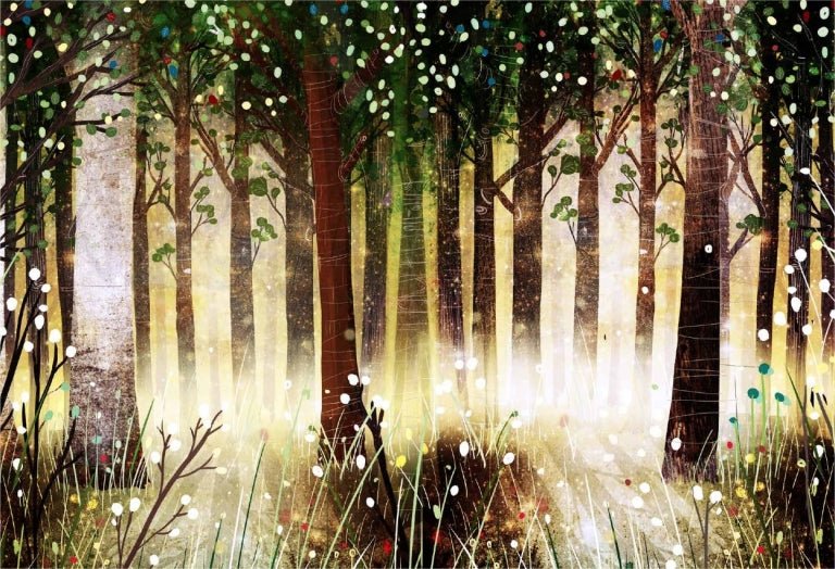 Ο Αρκούδος & το Πιάνο - David Litchfield - Diavazo Greek Books