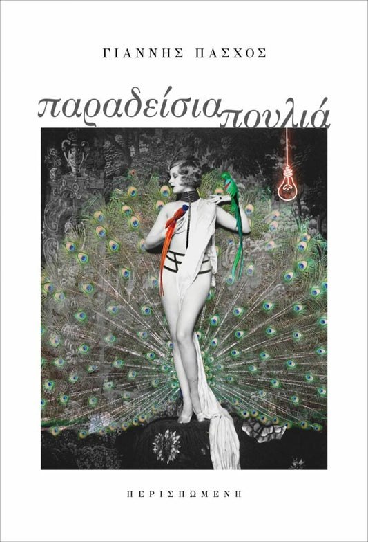 Παραδείσια πουλιά – Γιάννης Πάσχος - Diavazo Greek Books