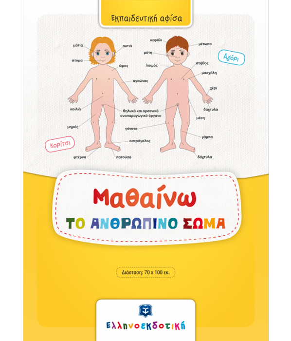 Μαθαίνω το Ανθρώπινο Σώμα (Poster) - Diavazo Greek Books