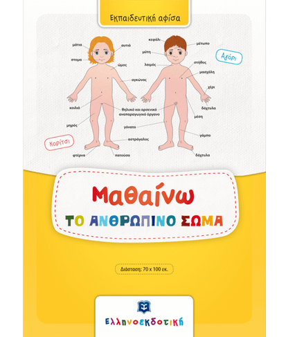 Μαθαίνω το Ανθρώπινο Σώμα (Poster) - Diavazo Greek Books