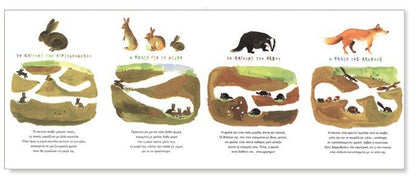 Τα Σπίτια των ζώων - Sonia Goldie - Diavazo Greek Books